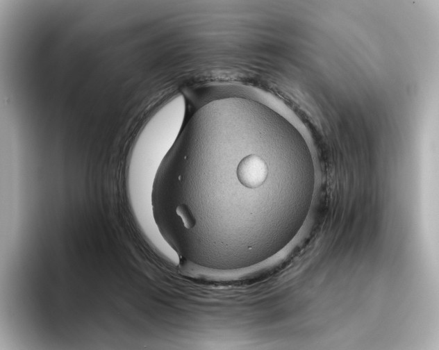 X0000095120360200712211314