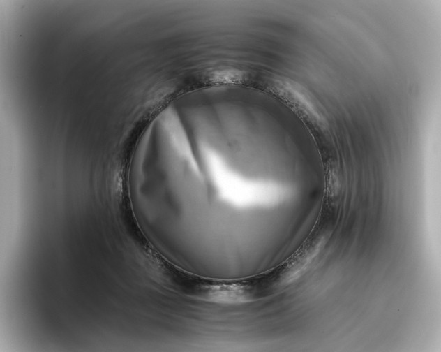 X0000095120363200712211314