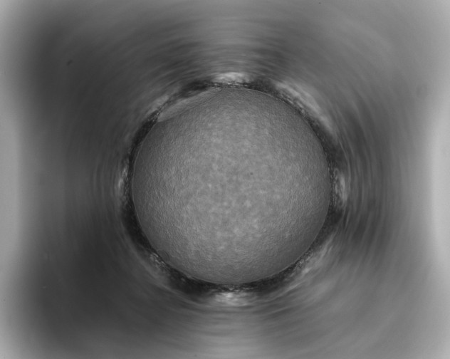 X0000095120364200712211314