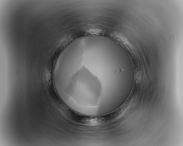 X0000095120365200712211314