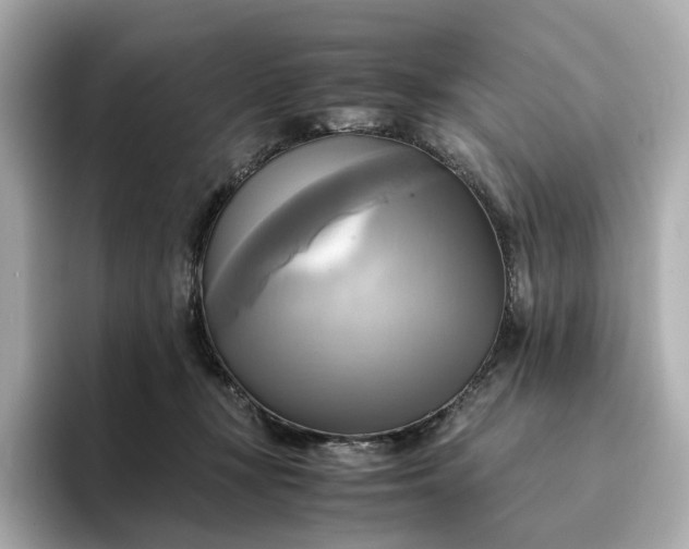 X0000095120367200712211314