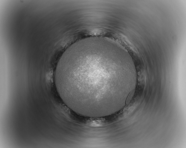 X0000095120368200712211314