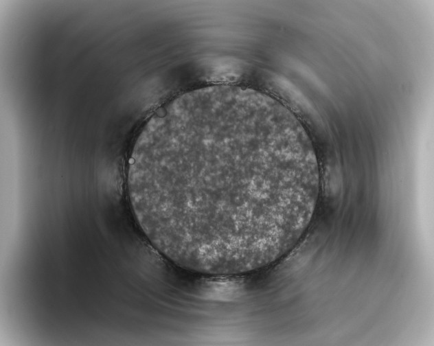 X0000095120370200712211314