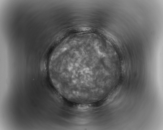 X0000095120373200712211314