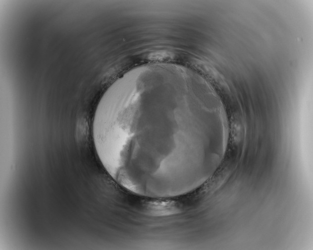 X0000095120375200712211314