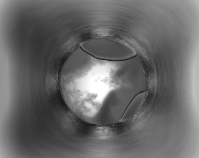 X0000095120376200712211314