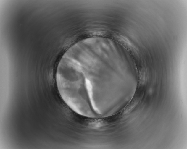 X0000095120377200712211314