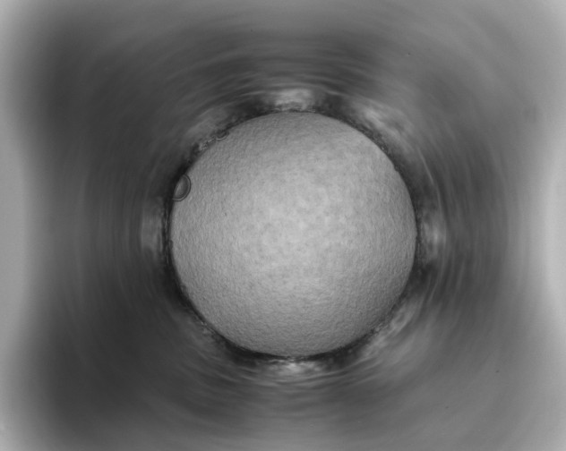 X0000095120379200712211314