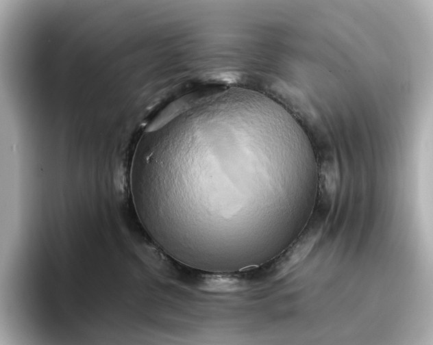 X0000095120380200712211314