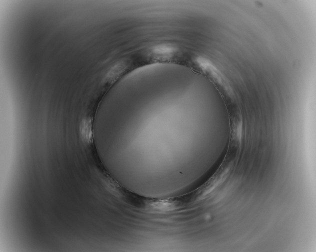 X0000095120383200712211315