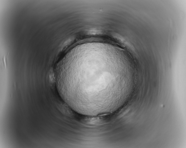 X0000095120384200712211315