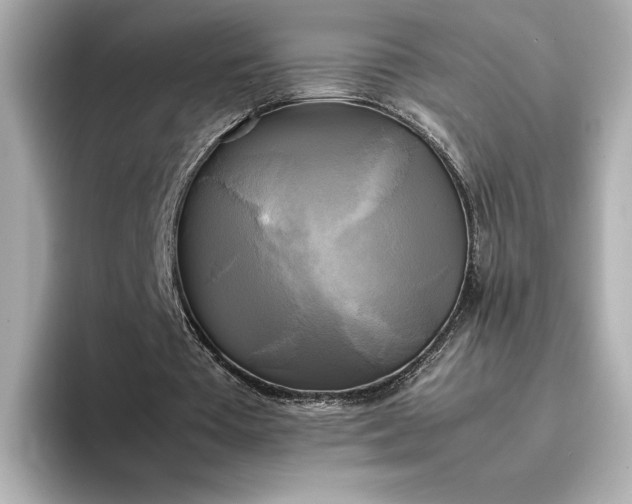 X0000095120385200712211314