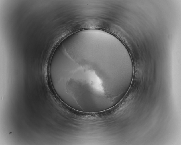 X0000095120386200712211314