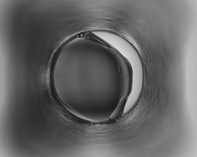 X0000095120387200712211314