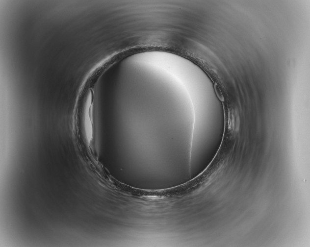 X0000095120388200712211314