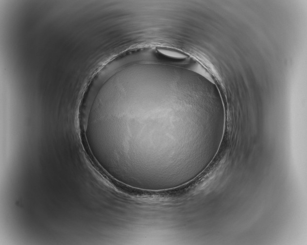 X0000095120389200712211314