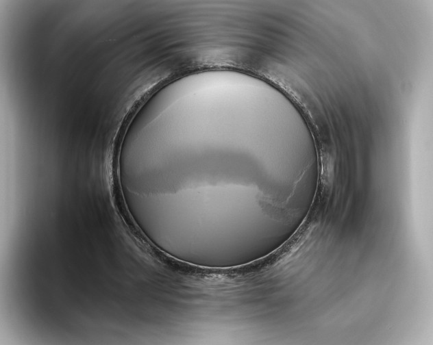 X0000095120390200712211314