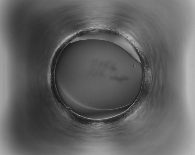 X0000095120391200712211314