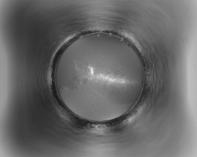 X0000095120395200712211314