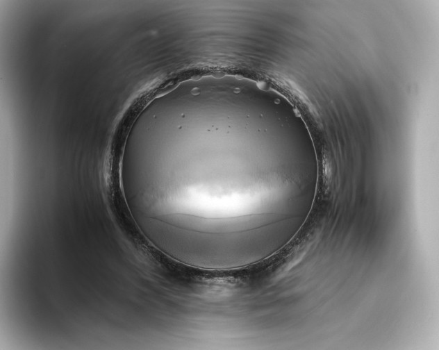 X0000095120396200712211314