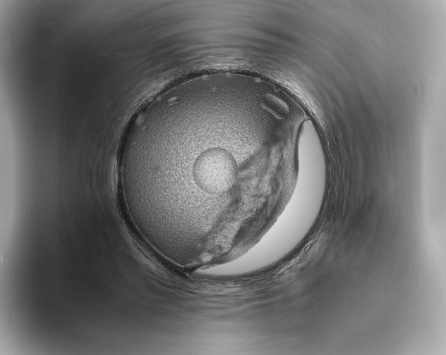 X0000095120397200712211314