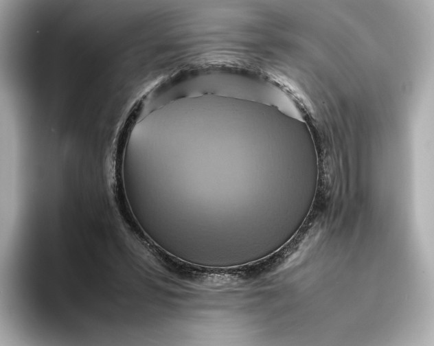 X0000095120399200712211314