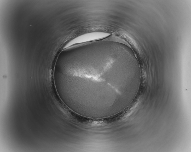 X0000095120401200712211314