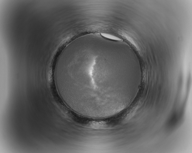 X0000095120403200712211314