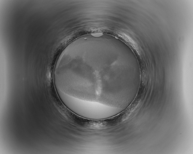 X0000095120405200712211314