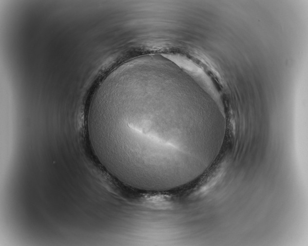 X0000095120407200712211314