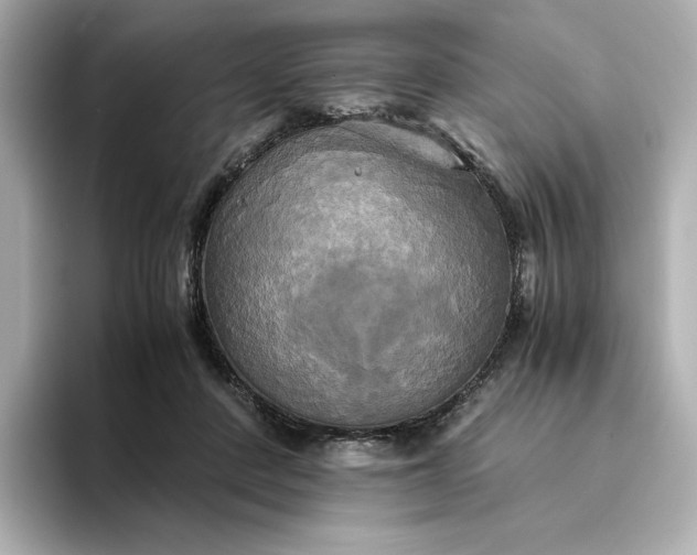 X0000095120408200712211314