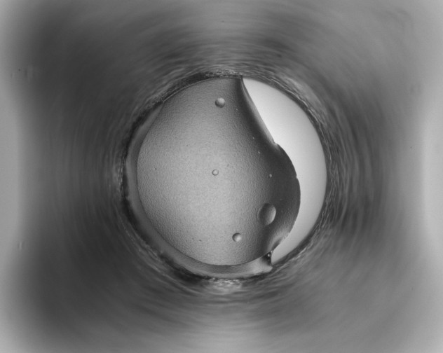 X0000095120409200712211314