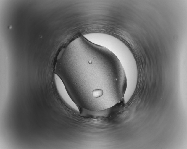 X0000095120411200712211314