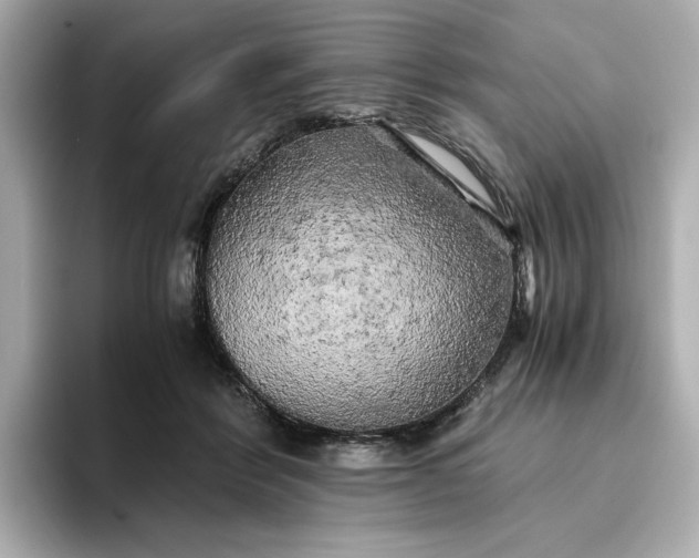 X0000095120412200712211314