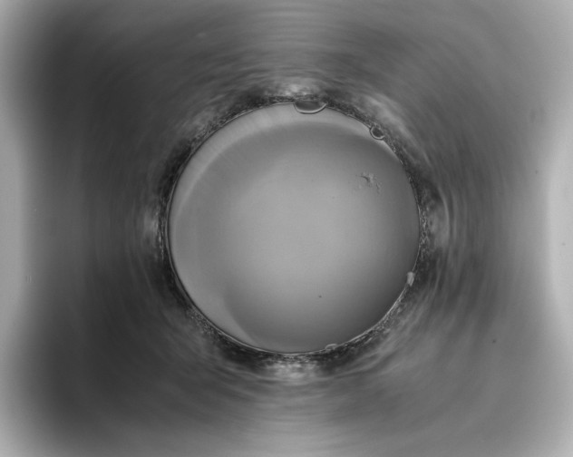 X0000095120415200712211314