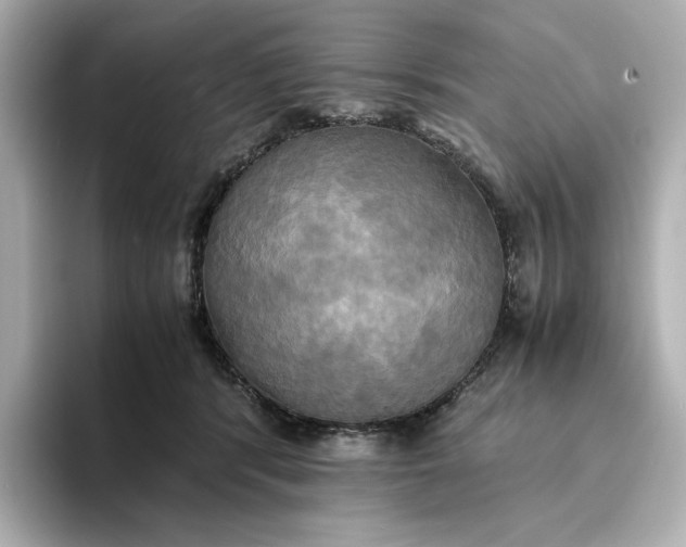 X0000095120416200712211313