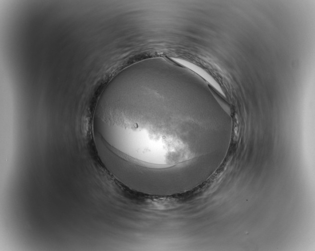 X0000095120417200712211313