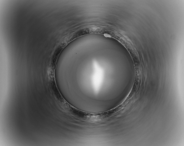 X0000095120419200712211313