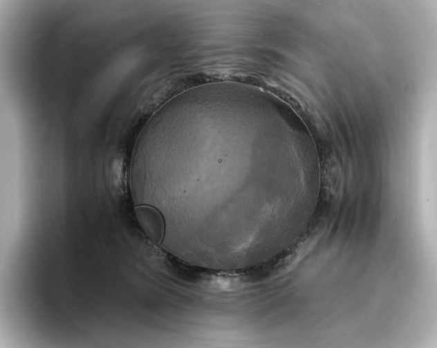 X0000095120420200712211313