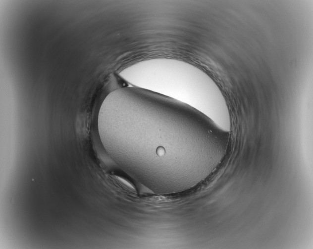 X0000095120421200712211313