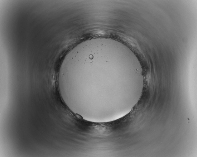 X0000095120423200712211313