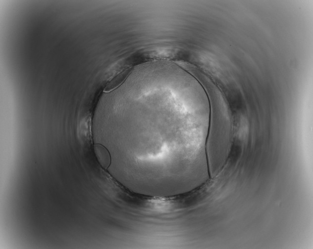 X0000095120425200712211313