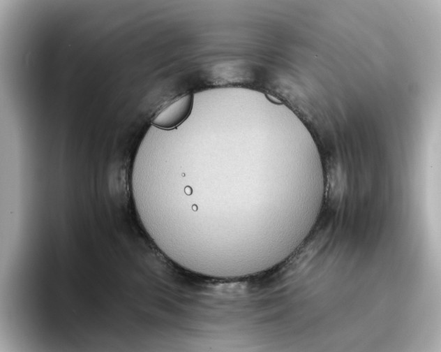 X0000095120426200712211313