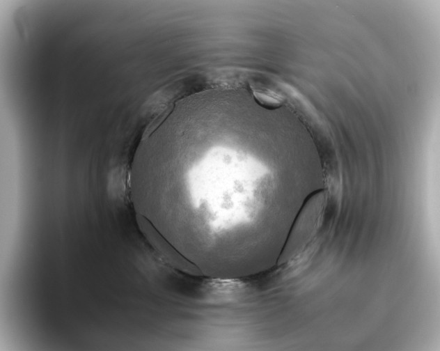 X0000095120429200712211313