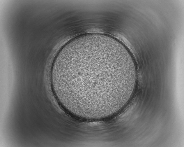 X0000095120433200712211313