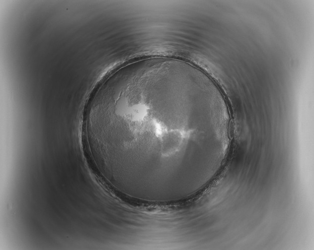 X0000095120434200712211313