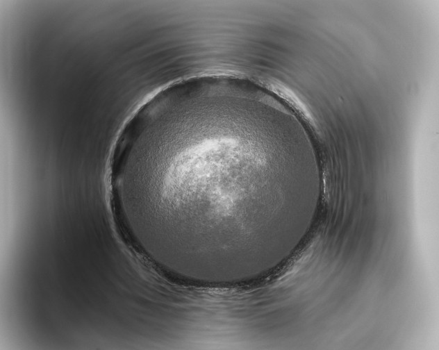 X0000095120436200712211313