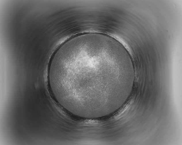 X0000095120437200712211313