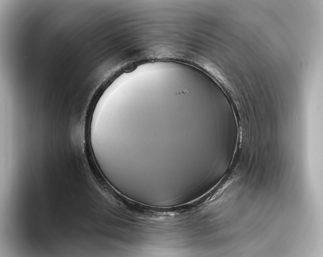 X0000095120438200712211313