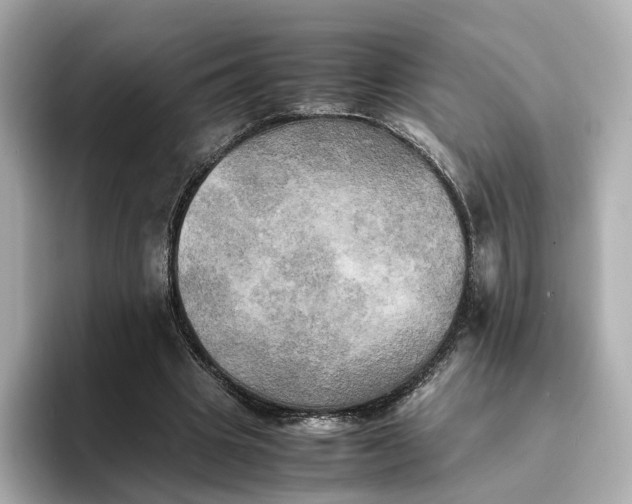 X0000095120441200712211313